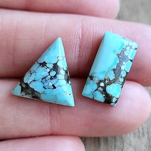May include: Two turquoise gemstone cabochons. One is a triangle shape, the other is a rectangle. Both have a light blue color with dark brown matrix patterns. The gemstones are held in a hand.