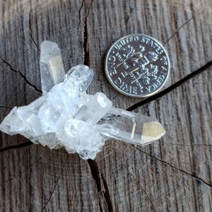 May include: A cluster of clear quartz crystals with a slightly yellow hue, displayed on a wooden surface next to a US dime for scale.