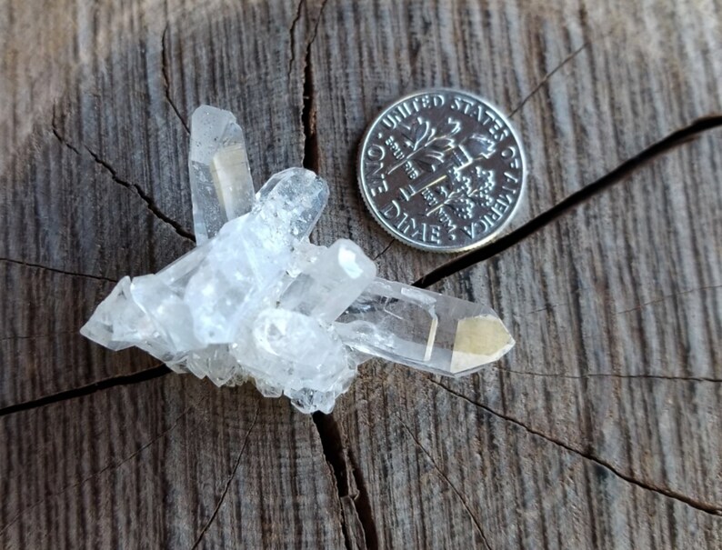 May include: A cluster of clear quartz crystals with a slightly yellow hue, displayed on a wooden surface next to a US dime for scale.