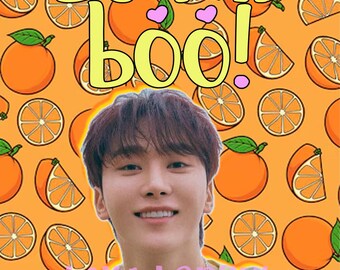 Boo Seungkwan Seventeen BSS Kpop Valentine Card