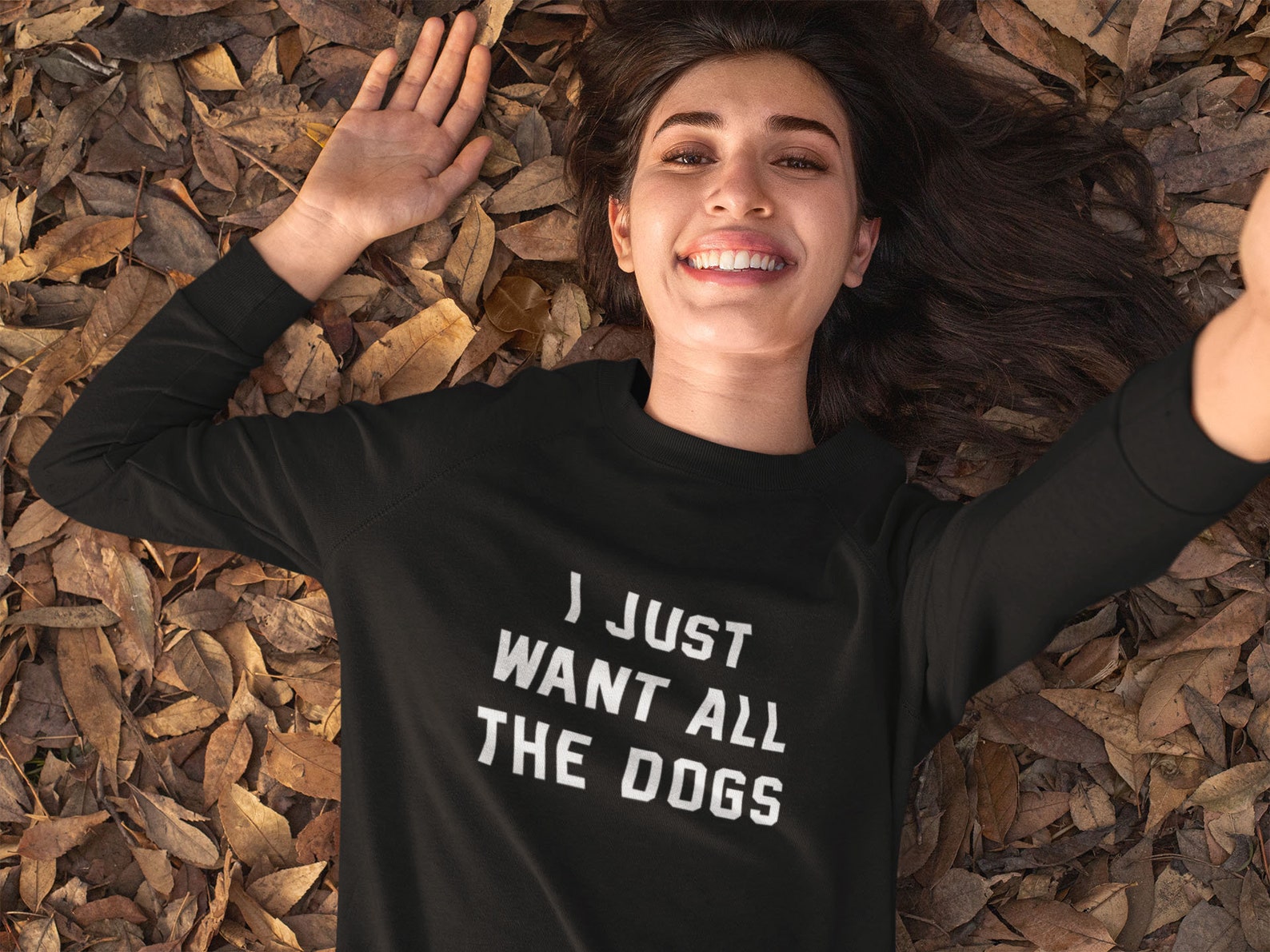 I Just Want All the Dogs Sweatshirt Dog Lover Gift Dog Etsy