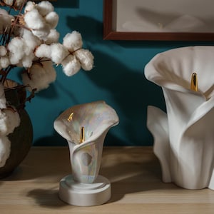 Pulvis Art Urns creates exceptional handmade cremation urns for humans and pets, carefully crafted in Europe by skilled artisans. Each urn combines modern design with timeless craftsmanship, offering a unique and meaningful way to honor a loved one. Made from premium ceramic materials, Pulvis urns are suitable for display at home or for outdoor memorials, blending beauty, durability, and symbolism. Every piece is thoughtfully designed to celebrate life, love, and remembrance.