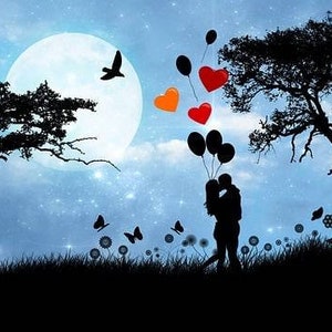 May include: A silhouette of two people embracing under a large full moon in a starry blue sky. A bicycle stands near a tree on the left, while butterflies and flowers dot the grass. Floating balloons in red, orange, and black drift above them.