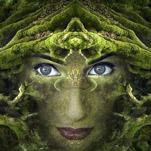 Pellowah-activering paranormale lezing. Pure lichtenergie, spirituele groei en verlichting.