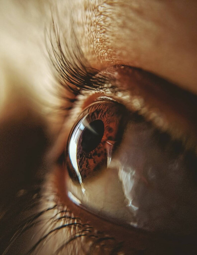 May include: A macro view of a human eye featuring a dark brown iris with intricate patterns and a black pupil. Long, dark eyelashes frame the upper eyelid, while light reflects off the moist surface of the cornea, creating a bright white highlight.