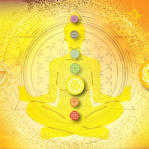 May include: A yellow silhouette of a person in a seated meditation pose against a golden background with a flower of life pattern. Seven colorful chakra symbols are vertically aligned along the center of the figure, with two additional chakra icons.