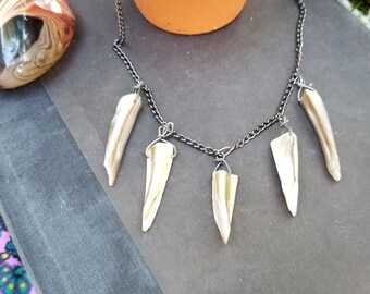 Seashell necklace - Fringe necklace - Natural shell bib necklace