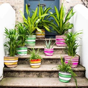 May include: A set of colourful striped fabric plant pots on a set of stairs. The pots are filled with various plants, including ferns, aloe vera, and palm plants.