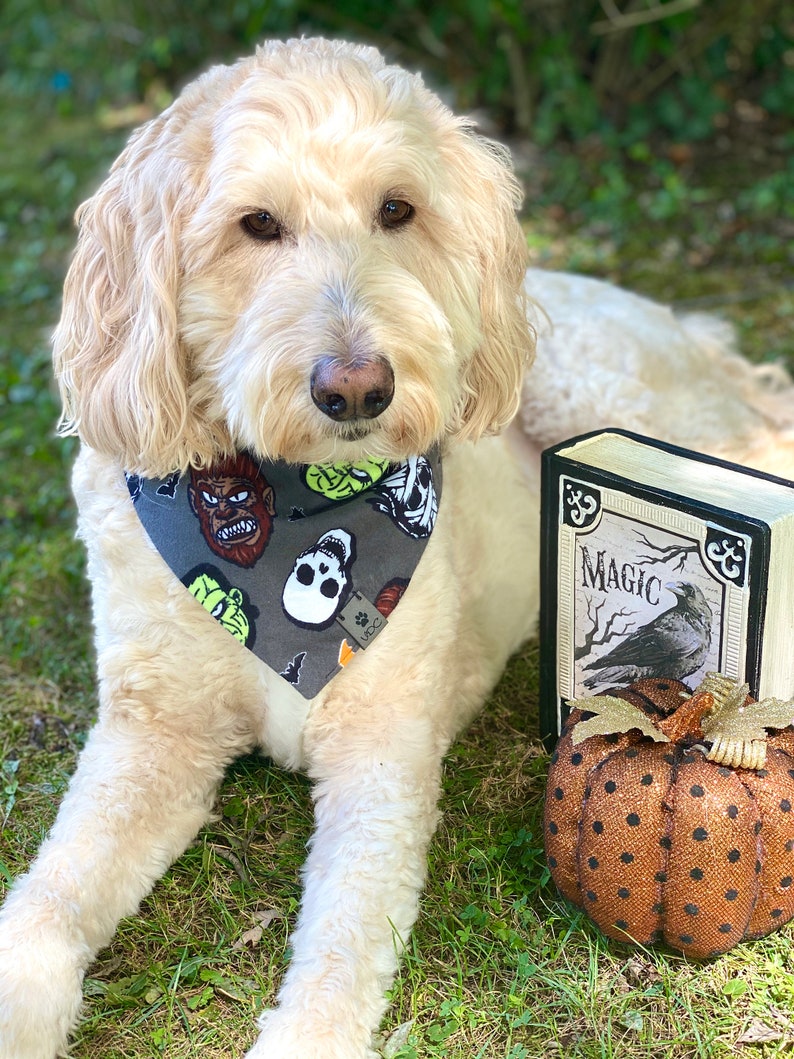 Monster Hund Bandana Halloween Hund Bandana Candy Mais Etsy
