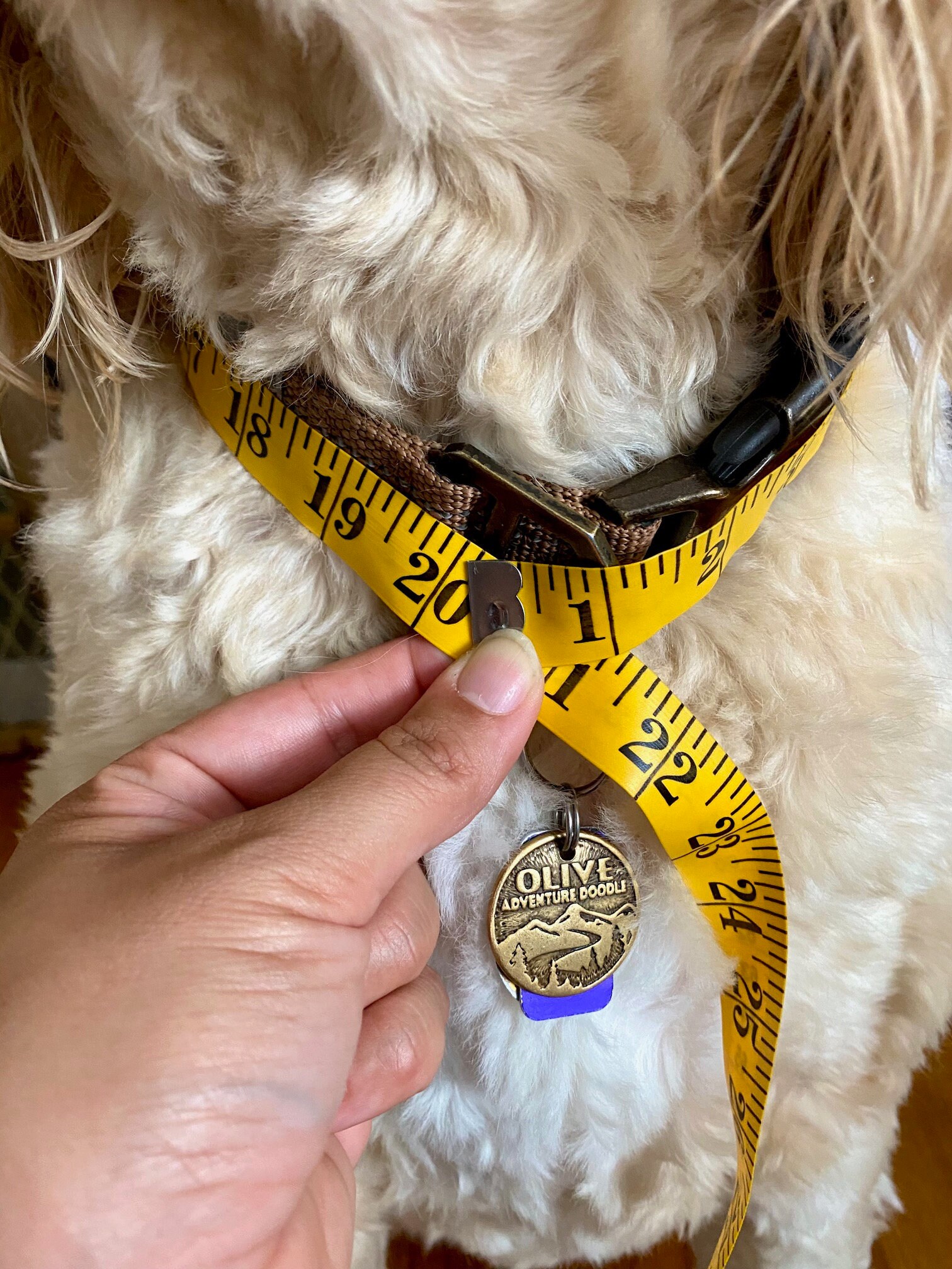 Camo Dog Bandana Teal Polkadot Dog Bandana Pet Bandana Etsy