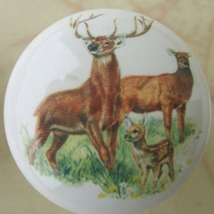 May include: A white ceramic knob with a printed image of a family of deer. The deer are brown with white spots and are standing in a grassy field. The father deer has large antlers.