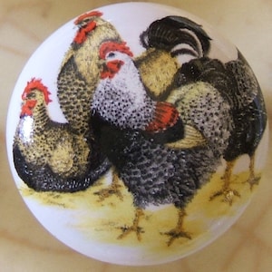 May include: White ceramic cabinet knob featuring a detailed illustration of several roosters. The roosters have black, white, and gold feathers, with red combs and wattles. The knob has a glossy finish and is suitable for kitchen or furniture decor.