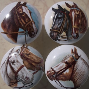May include: Set of four ceramic cabinet knobs featuring a horse head design. Each knob has a white background with a brown, black, or white horse head with a brown bridle.