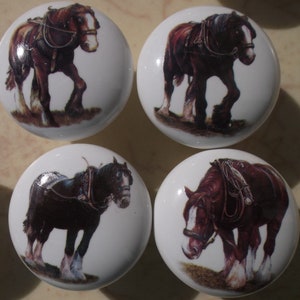 May include: Four ceramic knobs with images of brown and black horses pulling a cart. The knobs are white with a brown rim.