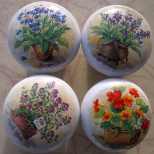 May include: Four round ceramic cabinet knobs with floral designs. Each knob features a different potted flower: blue borage, purple sage, pink wild thyme, and orange nasturtium. The knobs have a cream-colored background and are suitable for furniture or decor.