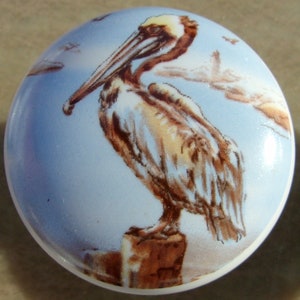 May include: A round ceramic cabinet knob featuring a detailed illustration of a brown pelican perched on a wooden post against a light blue sky. The knob has a white rim and is suitable for furniture or decor.