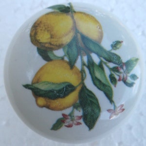May include: A white ceramic cabinet knob featuring a vibrant illustration of lemons on a branch with green leaves and small pink flowers. The lemons are yellow with a textured appearance, adding a touch of nature to home decor.