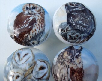Four owls #1 (4) Ceramic Cabinet knobs Kitchen hardware pulls