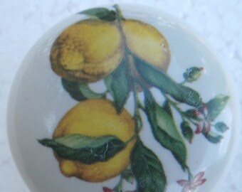 Lemons #1 Ceramic Cabinet Knobs Kitchen Drawer pulls fruit