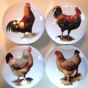 May include: Four ceramic knobs with images of chickens and roosters. The knobs are white with a glossy finish. The chickens and roosters are depicted in a realistic style with detailed feathers and markings.