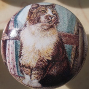 May include: A round ceramic knob with a vintage image of a brown and white cat sitting on a wooden chair. The cat is looking to the right of the image. The background is a light blue and green color.