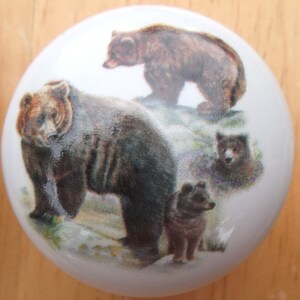 May include: White ceramic cabinet knob featuring a detailed illustration of a family of brown bears. The knob depicts a large bear, a smaller bear, and two bear cubs, set against a natural background.