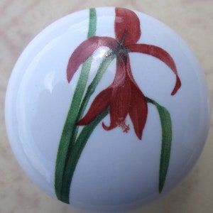 May include: A white ceramic cabinet knob with a floral design. The knob features a red flower with green leaves and stems. The flower is the focal point of the design, set against the white background.