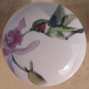 May include: A white ceramic knob with a hummingbird and a pink flower design. The hummingbird is green, blue, and red, and the flower is pink and purple.