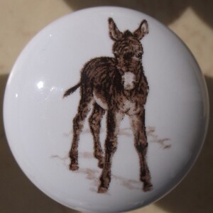 May include: White ceramic cabinet knob featuring a detailed illustration of a brown donkey. The donkey is standing, with its ears perked up. The knob is round and has a glossy finish, suitable for furniture or decorative use.