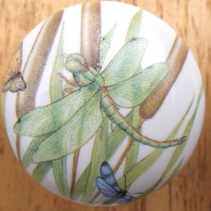 May include: A white ceramic knob with a green dragonfly and brown reeds on a white background.