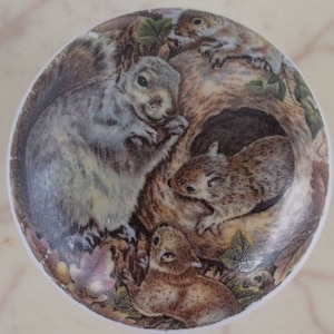 May include: A ceramic knob with a detailed illustration of squirrels in a tree. The squirrels are brown and gray with bushy tails. The background is a light brown with green leaves.
