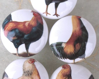 5 Chickens & roosters farm animal CLOSEOUT Ceramic Cabinet knobs Kitchen hardware pulls closeout