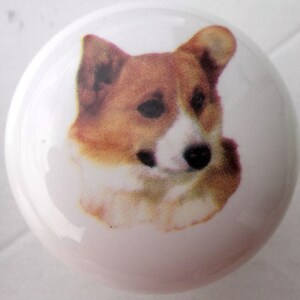 May include: A white ceramic knob with a printed image of a brown and white corgi dog.