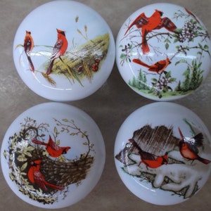 4 Cardinals Domestic bird Ceramic Cabinet Knobs Kitchen Door pulls Door Hardware