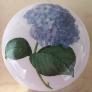 May include: A white ceramic knob with a blue and green hydrangea flower design.