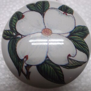 May include: A white ceramic knob with a floral design. The knob features a white dogwood flower with green leaves.
