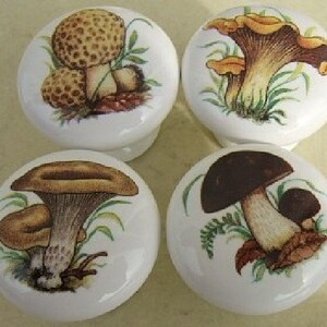 May include: Four white ceramic cabinet knobs with mushroom illustrations. Each knob features a different mushroom design in shades of brown, tan, and green. The knobs are round with a slight curve on the back for easy gripping.