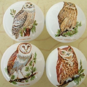 May include: Four white ceramic cabinet knobs with owl illustrations. Each knob features a different owl species: Snowy Owl, Great Horned Owl, Barn Owl, and a reddish-brown owl. The names of the owls are printed on the knobs.