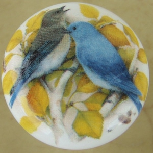May include: Ceramic knob with a painted image of two bluebirds perched on a branch with yellow leaves.
