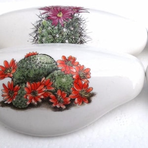 May include: Four white ceramic drawer pulls with colorful cactus designs. Each pull features a different cactus illustration with vibrant red, pink, and green hues. The pulls have a smooth, glossy finish and a unique, elongated shape.