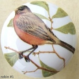Robin Domestic birds Ceramic Cabinet Knobs Kitchen Door pulls Door Hardware