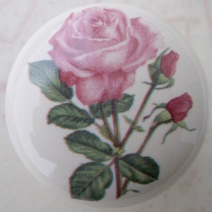 May include: A pink rose with green leaves and buds on a white background. The rose is in full bloom and has a delicate, feminine look.
