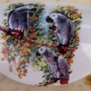 May include: White ceramic knob with a gray, green, and yellow floral design featuring three gray birds.