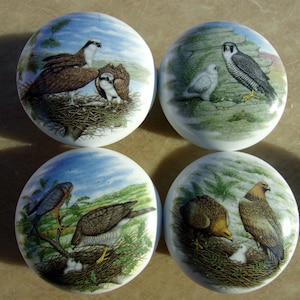 May include: Set of four ceramic knobs featuring a bird and nest design. Each knob has a different bird species, including a hawk, an eagle, a falcon, and an osprey. The knobs are painted in realistic colors and have a glossy finish.