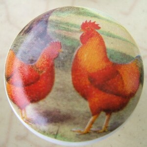 May include: A round decorative knob featuring two vibrant red and orange roosters set against a muted green and tan background. The knob has a white border and is likely made of ceramic or porcelain.