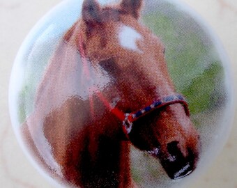 Chestnut horse Ceramic Cabinet knobs Horse Kitchen hardware pulls