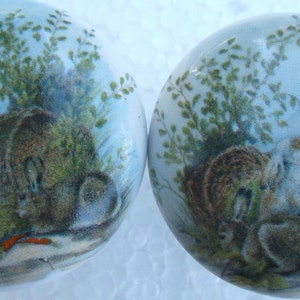 2 Farm Bunnies Rabbit Bunny Ceramic Cabinet Knobs Kitchen Drawer pulls
