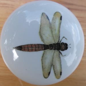 May include: A white ceramic knob with a dragonfly design. The dragonfly has brown and black wings with a brown and black body.