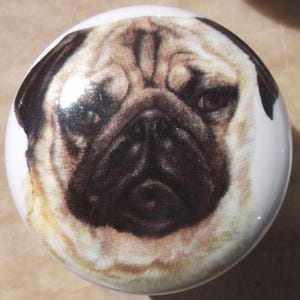 May include: A round, white ceramic knob featuring a detailed image of a pug's face. The pug has a tan and black coat with a wrinkled face and dark eyes. The knob is likely for a cabinet or drawer.