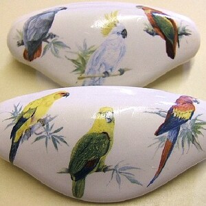 May include: Two white ceramic drawer pulls with a bird theme. The top pull features a gray parrot, a white cockatoo, and a green and yellow parrot. The bottom pull features a yellow parrot, a green parrot, and a blue and red parrot.